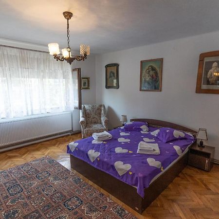 Doi Bujori Lägenhet Alba Iulia Exteriör bild