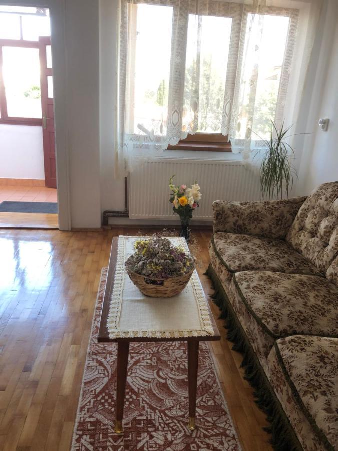 Doi Bujori Lägenhet Alba Iulia Exteriör bild