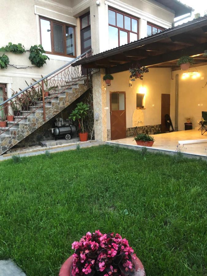 Doi Bujori Lägenhet Alba Iulia Exteriör bild