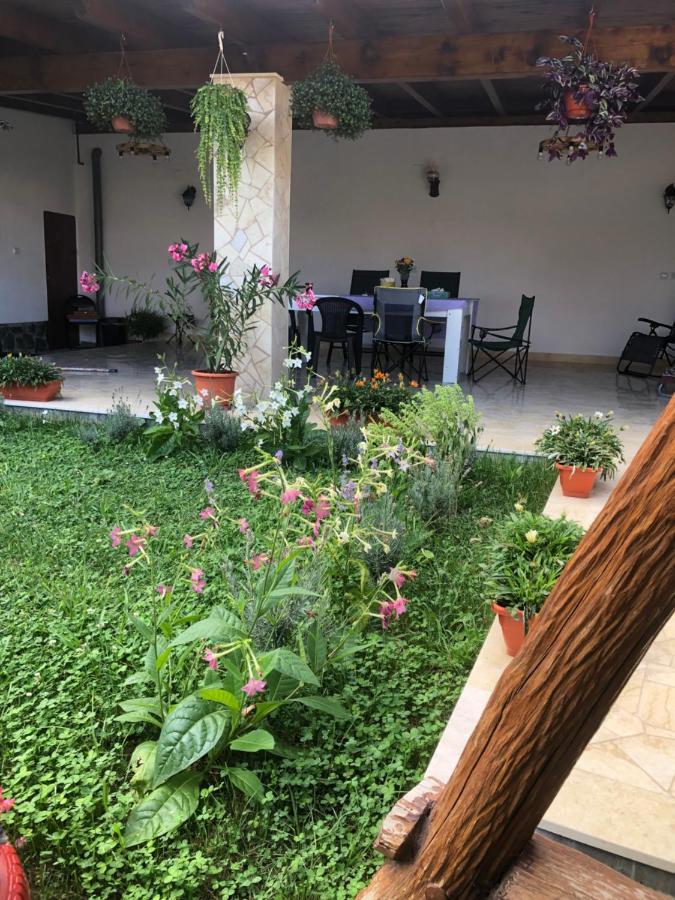 Doi Bujori Lägenhet Alba Iulia Exteriör bild