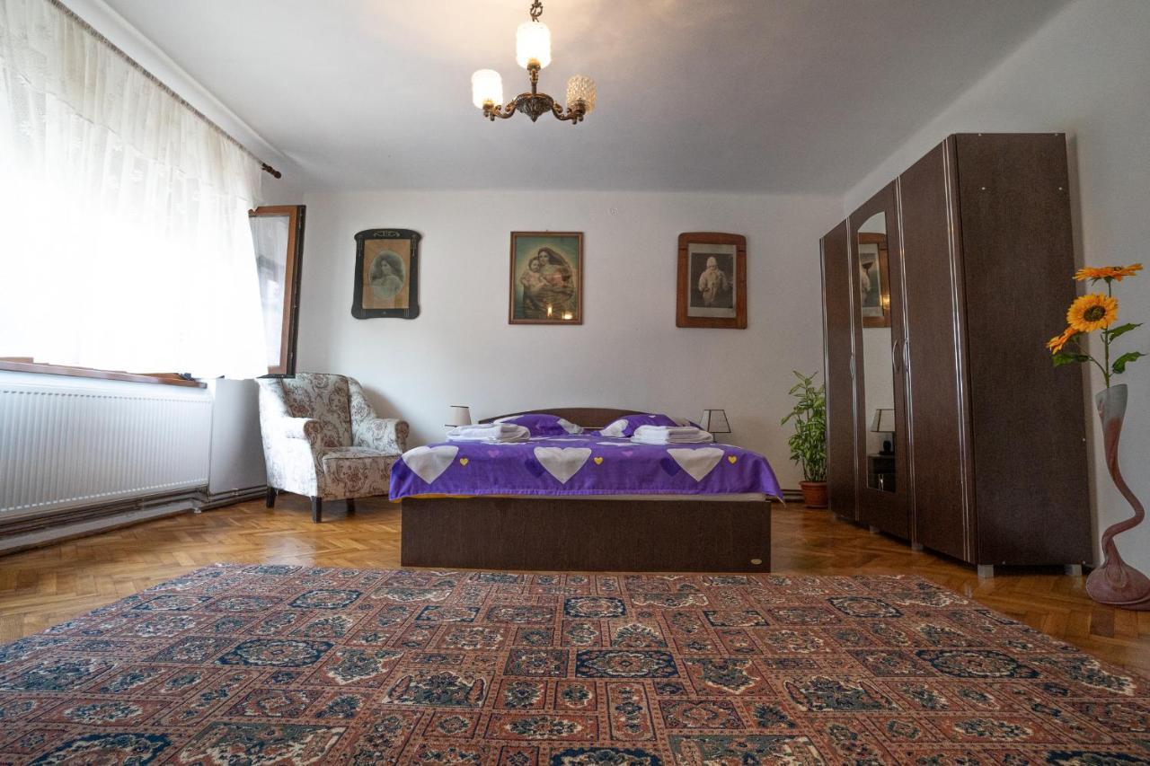 Doi Bujori Lägenhet Alba Iulia Exteriör bild